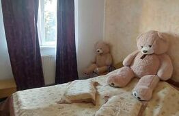 Apartament 2 camere, zona Garii