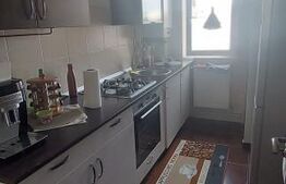 Apartament 2 camere, zona Garii