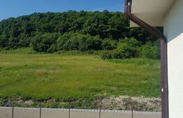 Exclusivitate ! Casa individuala finisata, zona liziera pădurii, Chinteni !