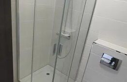 Apartament 1 camera la mansarda. Zona Marasti