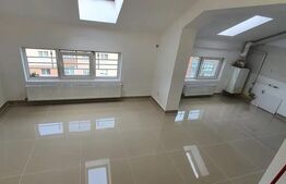 Apartament 1 camera la mansarda. Zona Marasti