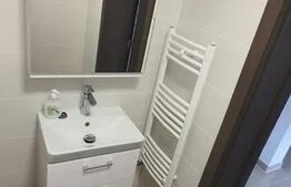 Apartament 1 camera la mansarda. Zona Marasti