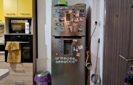 Apartament cu 3 dormitoare, garaj, recent renovat, zona Mehedinti