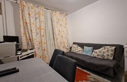 Apartament cu 3 dormitoare, garaj, recent renovat, zona Mehedinti