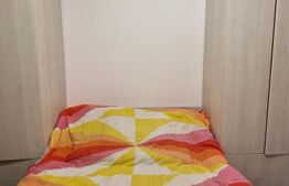 Apartament cu 3 dormitoare, garaj, recent renovat, zona Mehedinti