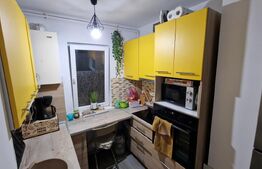 Apartament cu 3 dormitoare, garaj, recent renovat, zona Mehedinti