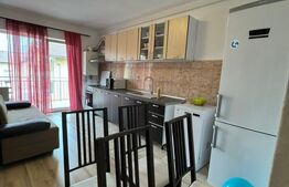 Apartament 2 camere, 40 mp, petfriendly, zona Porii