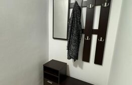 Apartament 2 camere, 40 mp, petfriendly, zona Porii