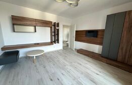 Penthouse, 120 mp, 100 mp terasa