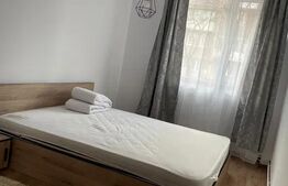 Apartament  2 camere, 52mp, la 5 minute de IULIUS Mall , Pet friendly