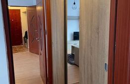 Apartament  2 camere, 52mp, la 5 minute de IULIUS Mall , Pet friendly