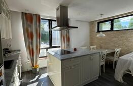Duplex 114 mp, partial mobilat, gradina, parcare, zona Vivo 
