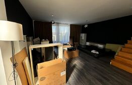 Duplex 114 mp, partial mobilat, gradina, parcare, zona Vivo 