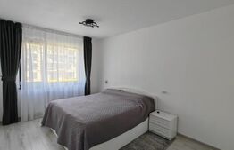 Apartament 2 Camere, Decomandat, Ioan Popasul