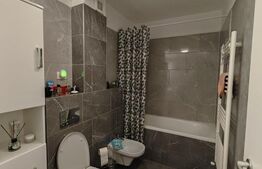 Apartament 2 Camere, Decomandat, Ioan Popasul