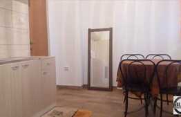 Apartament cu 1 camera, 33 mp, mobilat modern, zona Facultatii de Business