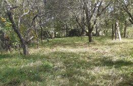 Casa 3 camere Zarnesti - Brasov