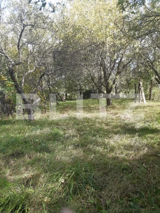 Casa de vânzare 3 camere Zarnesti - 159462CV | BLITZ Brașov | Poza13