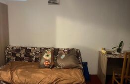 Garsoniera, 28 mp, pet friendly , parcare , zona strazii Parang