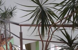 Casa mobilata lux, cu 4 camere in Sacele - Brasov