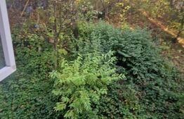 Apartament 2 camere Zarnesti decomandat 48 mp UTILI , P+2 etaje