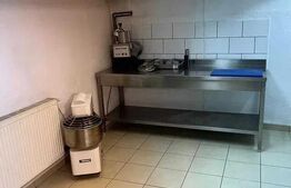 Spatiu pentru depozitare, 60 mp, Zorilor 