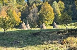 Cabana de lemn, 7 camere - afacere la cheie - Brasov