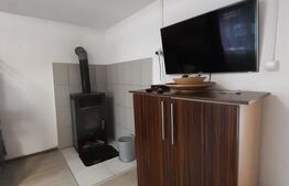 Cabana de lemn, 7 camere - afacere la cheie - Brasov