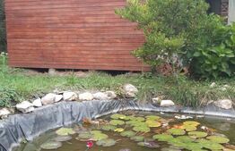 Cabana de lemn, 7 camere - afacere la cheie - Brasov