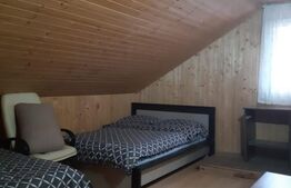 Cabana de lemn, 7 camere - afacere la cheie - Brasov
