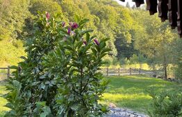 Cabana de lemn, 7 camere - afacere la cheie - Brasov