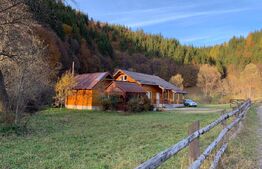 Cabana de lemn, 7 camere - afacere la cheie - Brasov