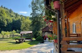Cabana de lemn, 7 camere - afacere la cheie - Brasov