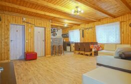 Cabana de lemn, 7 camere - afacere la cheie - Brasov