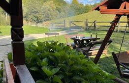 Cabana de lemn, 7 camere - afacere la cheie - Brasov