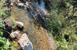 Cabana de lemn, 7 camere - afacere la cheie - Brasov