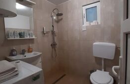 Cabana de lemn, 7 camere - afacere la cheie - Brasov