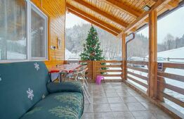 Cabana de lemn, 7 camere - afacere la cheie - Brasov