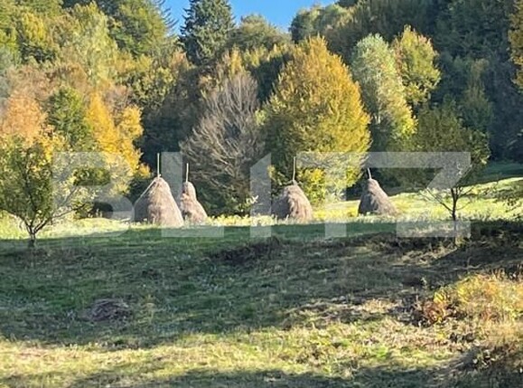 Casa de vânzare 7 camere Vulcan - 159579CV | BLITZ Brașov | Poza3