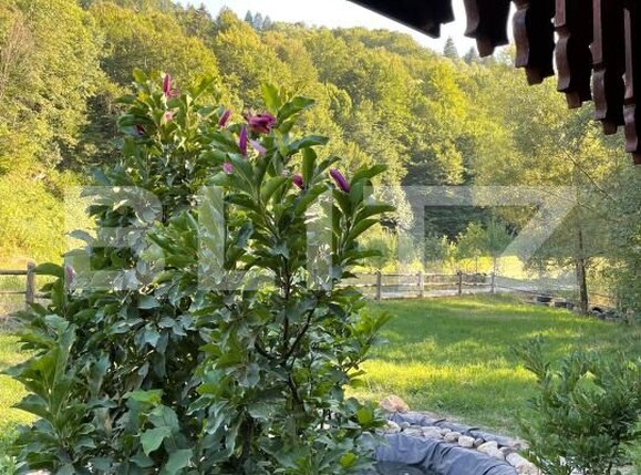 Casa de vânzare 7 camere Vulcan - 159579CV | BLITZ Brașov | Poza21