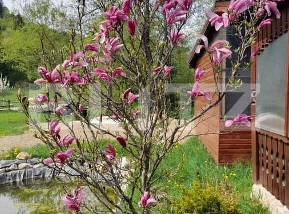 Casa de vânzare 7 camere Vulcan - 159579CV | BLITZ Brașov | Poza17