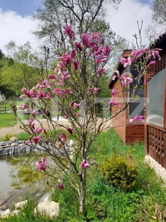 Casa de vânzare 7 camere Vulcan - 159579CV | BLITZ Brașov | Poza17