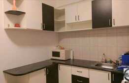 1 camera, 42 mp, imobil nou, mobilat modern, zona strazii Viilor