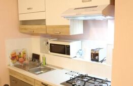 Apartament cu 7 camere Central