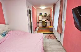 Oportunitate investitie! Casa individuala cu 12 camere, 386mp, zona Vivo