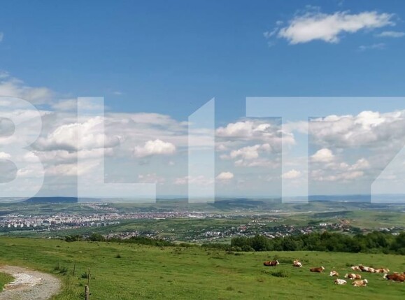 Teren de vânzare Feleacu - 159627TV | BLITZ Cluj-Napoca | Poza1