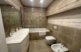 Penthouse, 145 mp, 75 mp terasa, zona Iulius Mall