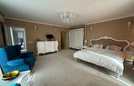 Penthouse, 145 mp, 75 mp terasa, zona Iulius Mall