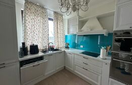 Penthouse, 145 mp, 75 mp terasa, zona Iulius Mall