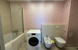 Penthouse, 145 mp, 75 mp terasa, zona Iulius Mall